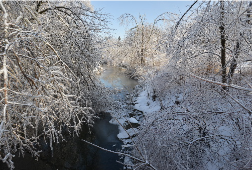 TorontoPFR's tweet photo. Welcome Winter! You look a lot different than you did last year.  Let's embrace it!  #WinterLifeTO #WinterSolstice https://t.co/5EBlbylX9R