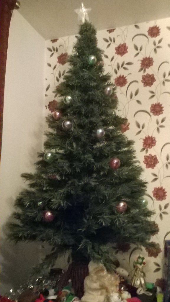 hannah_cuthell's tweet photo. @BowhousePS  my Xmas tree at home #bowhome https://t.co/ZUNp7kxLFs