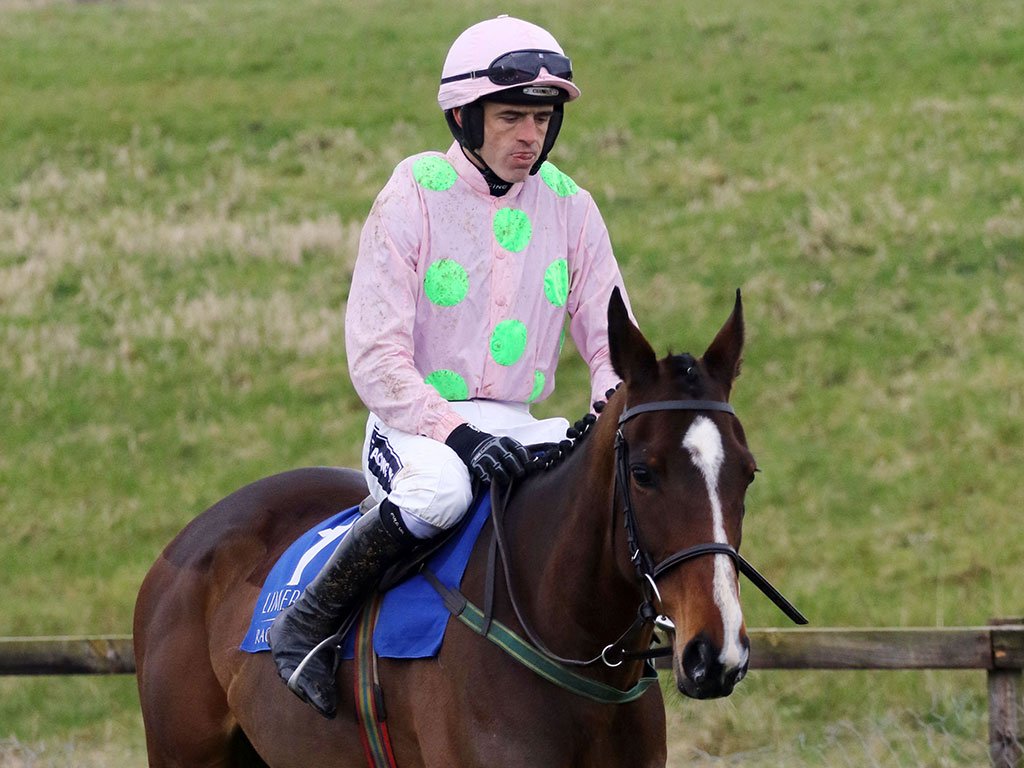 RacingPost's tweet photo. Hurdling campaign may await Vroum Vroum Mag following easy Clonmel success https://t.co/VySrp8krqV https://t.co/05uujid4fh