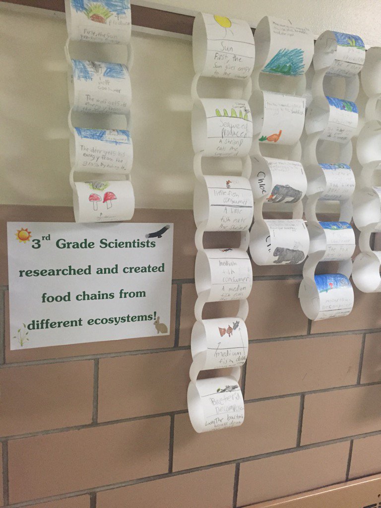 LucilleMcAssey's tweet photo. Gr3 Scientists researched &amp; created food chains from different ecosystems @SaraRubin #WPScience https://t.co/31HL4spjPH