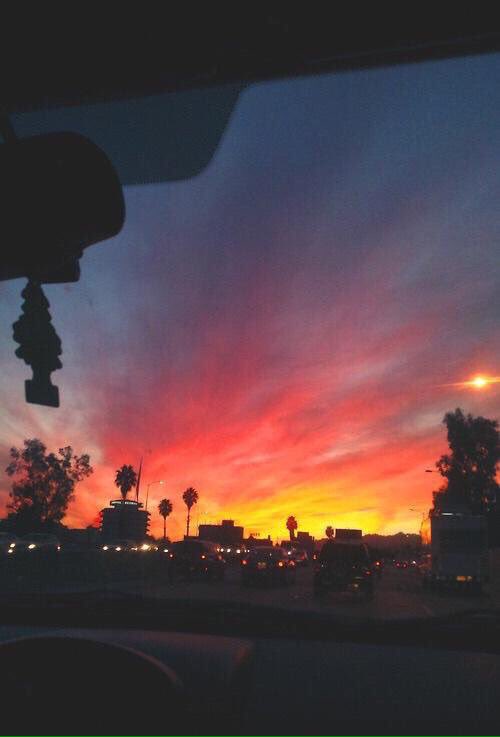 WifiOver's tweet photo. i wanna go on a road trip with someone i connect with on every level https://t.co/LXnrdMFGkM