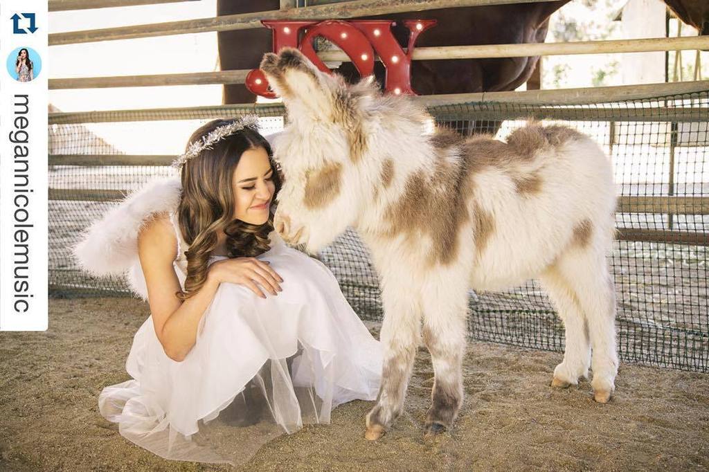 gdestefano's tweet photo. Joy to the world with @megannicolemusic and a baby donkey! Photo by moi/ @gregdestefano #r… https://t.co/qOtm9VrDFv https://t.co/fgmCFuLots