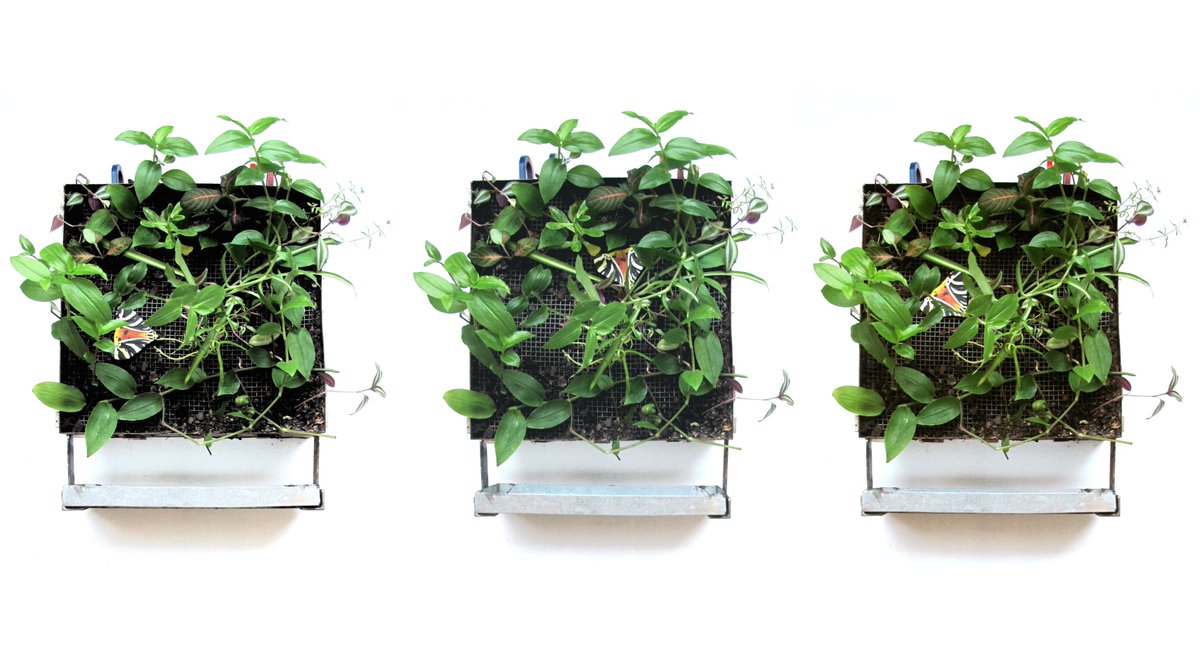 bio_heritage's tweet image. BIONIC PAINTING - INTERACTIVE ART #HONEVO #BIONICART #BIONICPAINTINGS #GREEN #CULTURAL #TECH #INNOVATION