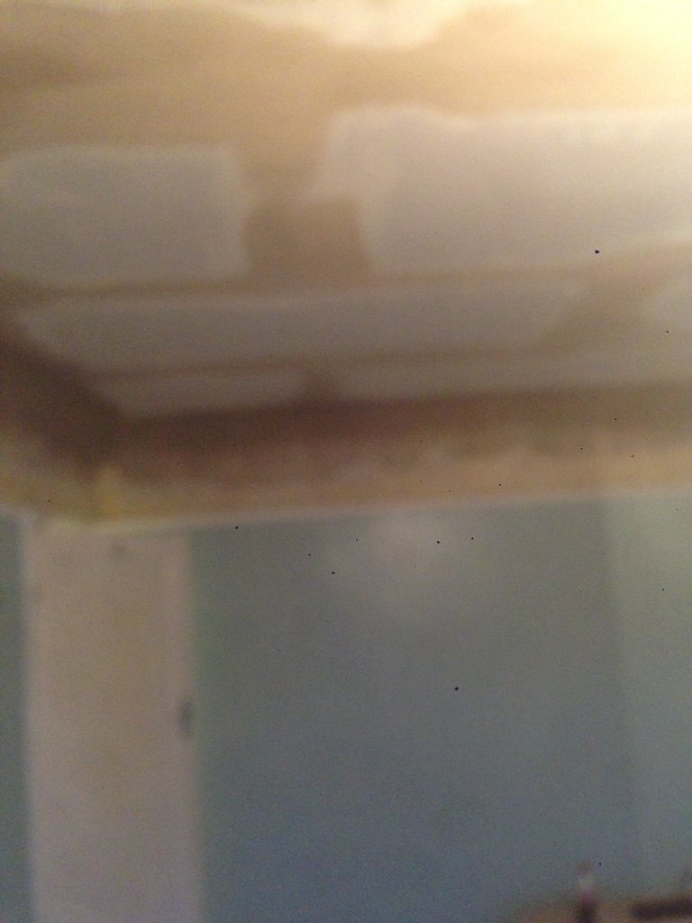 djmurrayplaster's tweet photo. Overboard reformed caves and skimmed https://t.co/GPDGtpeLDK