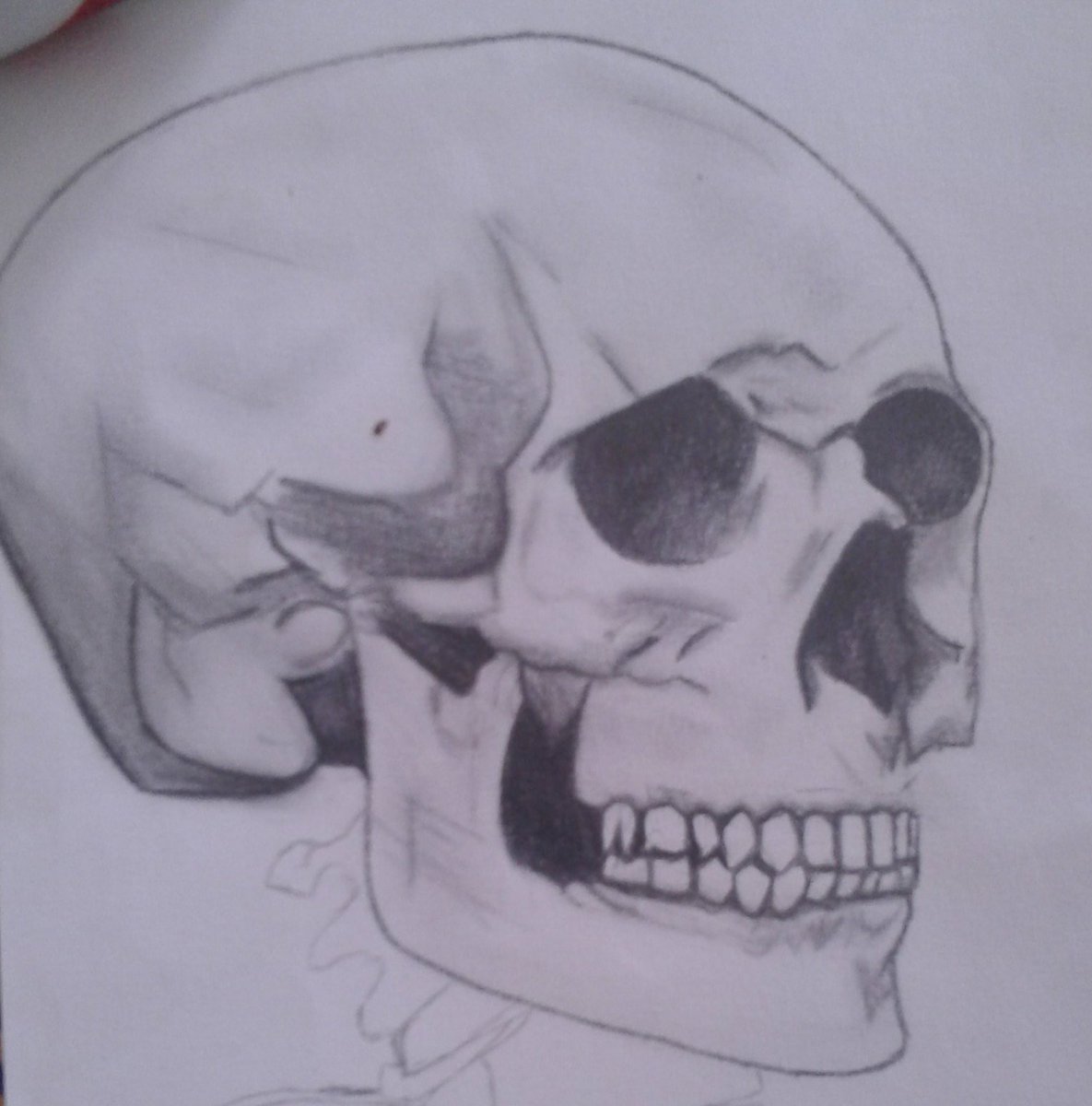 Viviane #TimBeta (@sm_vivianee) on Twitter photo 