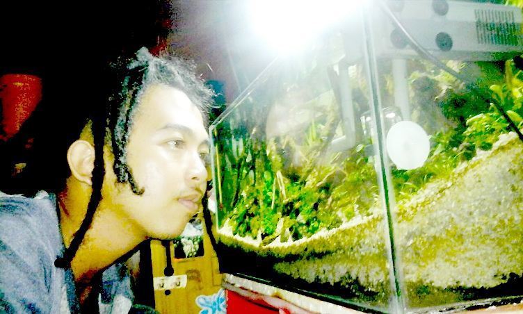 Akvaristan's tweet photo. #akvaristan #aquarium #akvaryum #aquarien Kaya urang jua 😎
#aquascape
#reggae #explorebanjar #instabanjar #visitk… https://t.co/LgcKlcFnbC
