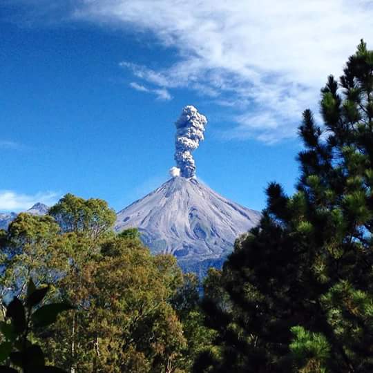 FerCebale's tweet image. Una de las muchas atracciones turísticas de Colima, México, qué te parece @davidbisbal ? 😊.Un abrazo, buenas noches