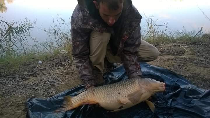 el tripode (@rafa_chery) on Twitter photo 