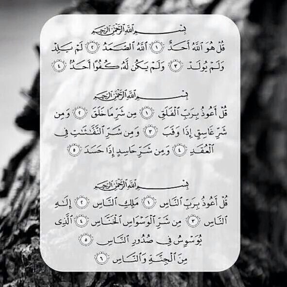 khair_alnaas_ps's tweet photo. صدقه جاريه علي روح والدي 

ريتويت لو تكرمتم https://t.co/WBXtDqmZ6k
