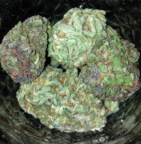 Rt if you agree this is WEED PORN.