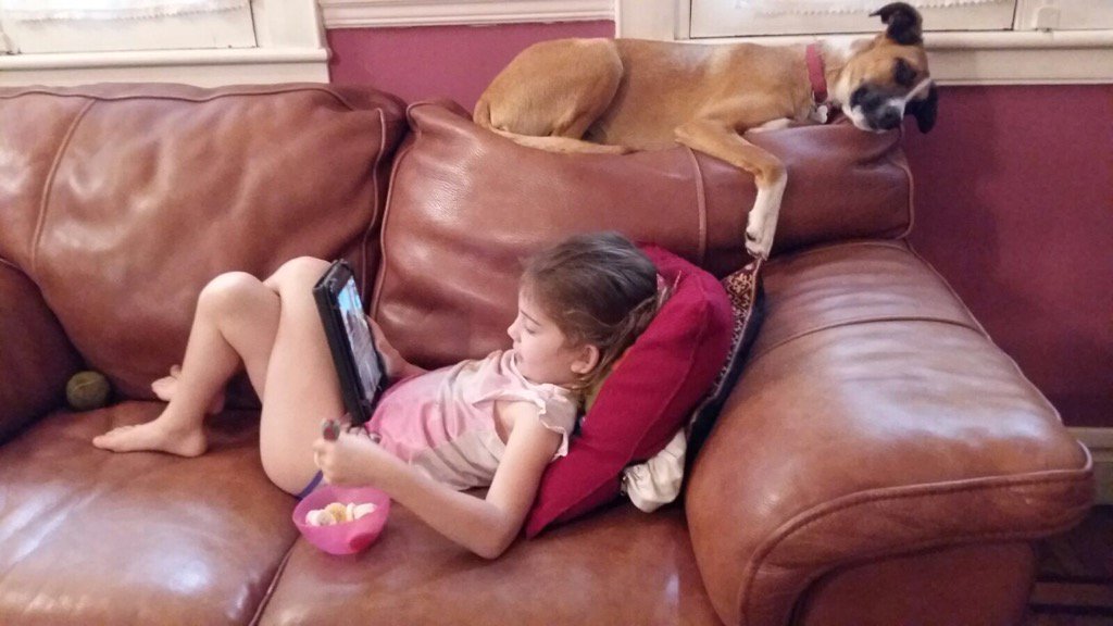 HernanValcarce's tweet photo. Vida de perro https://t.co/X9HYXR3g5r