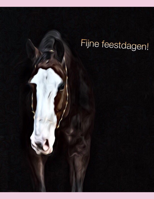 A Vernooij (@avernooij) on Twitter photo 