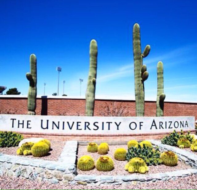 Austin Vickery tweet media