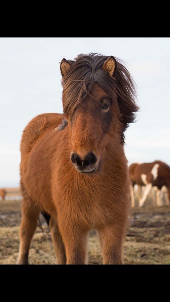 uccredgroup's tweet photo. Want hair like this fella? Head into @BladezCork and use your red card to get €3 off your haircut! https://t.co/WL8eqzK1QB