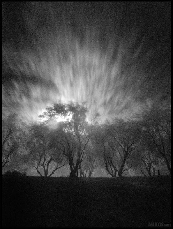 MIKOSarts's tweet photo. A few more Black &amp; White photography shots from last weeks shoot. #followart #photography #photo #art #mikos #arts https://t.co/wdVpwJHS9s