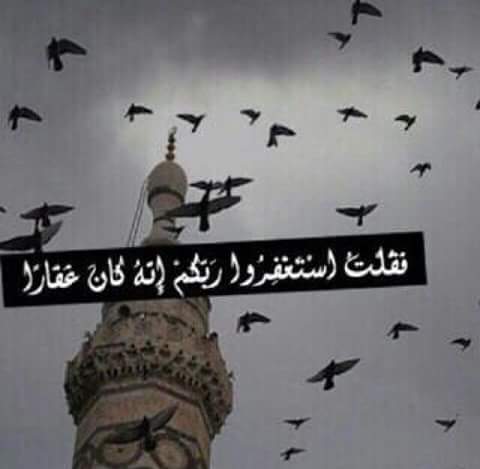 srtz12's tweet photo. استغفر الله الذي لا إله إلا هو الحي القيوم عدد خلق�� ورضا نفسه وزينة عرشه ومداد كلماته https://t.co/obOU334BlB