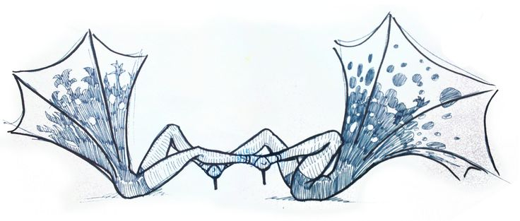 IlanioProject tweet picture