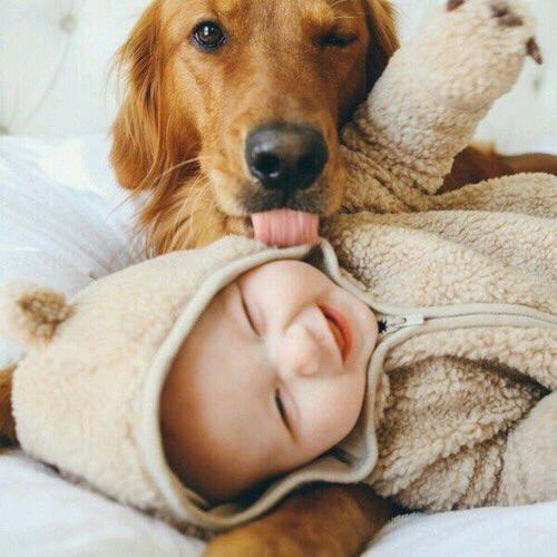 StumblerVideos's tweet photo. Theyre gonna be best friends forever https://t.co/CSbu9WNHIV