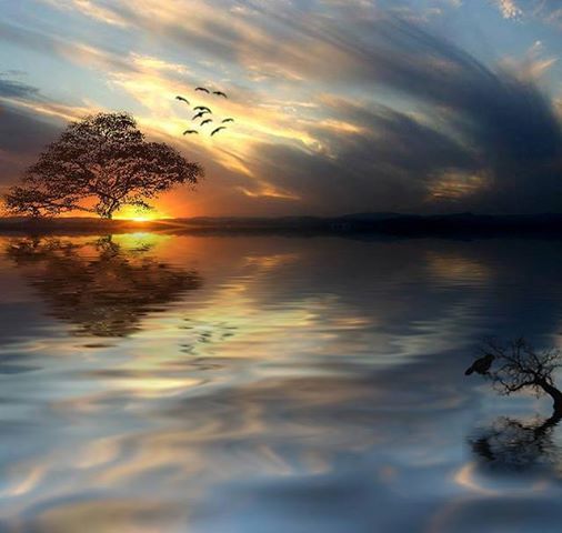 eiwithin's tweet image. All you want is that inner peace, joy and freedom that can only be found in deep silence and stillness.