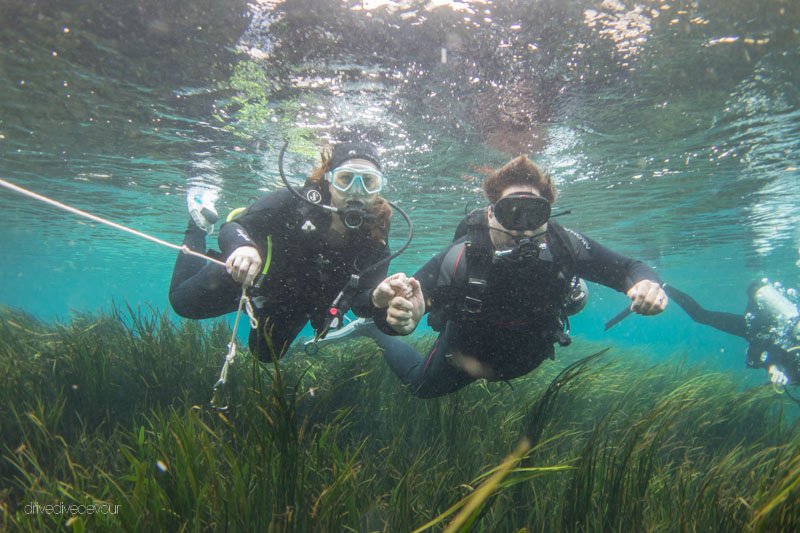 gAuto's tweet image. Drive.Dive.Devour. Interview [Full-Time RVers]

Article: ow.ly/T2zZ3

@RVTravelTV @gordwborg @LazydaysRV