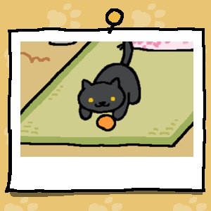 actually @punkin tweet media