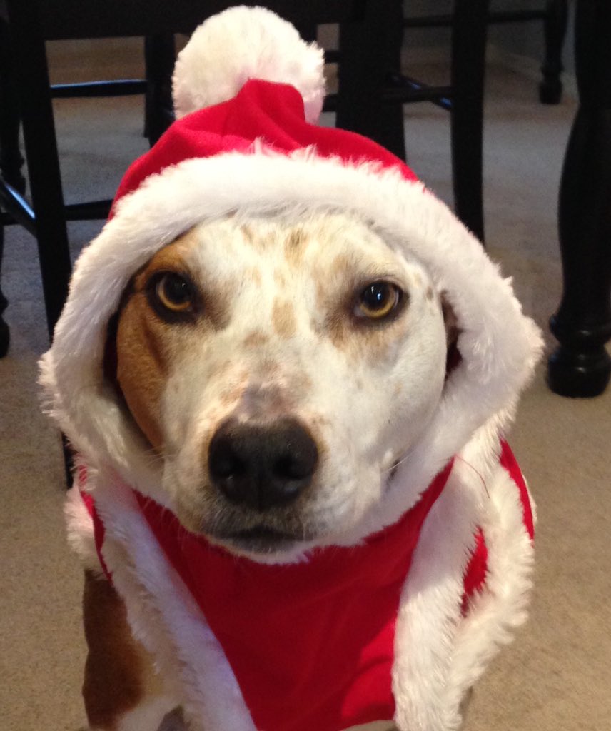 PHS_CC's tweet image. Happy Holidays