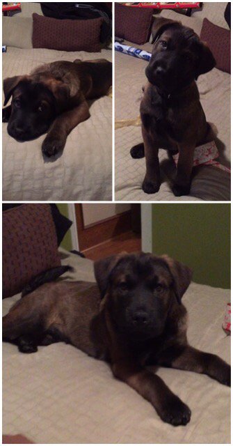 Coach Waters tweet media