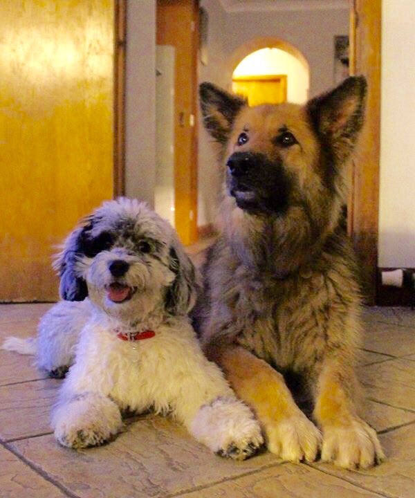 SCGS_R's tweet image. Troy and Eden last night