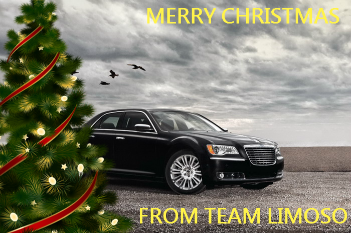 Limoso (@limosoaustralia) on Twitter photo 