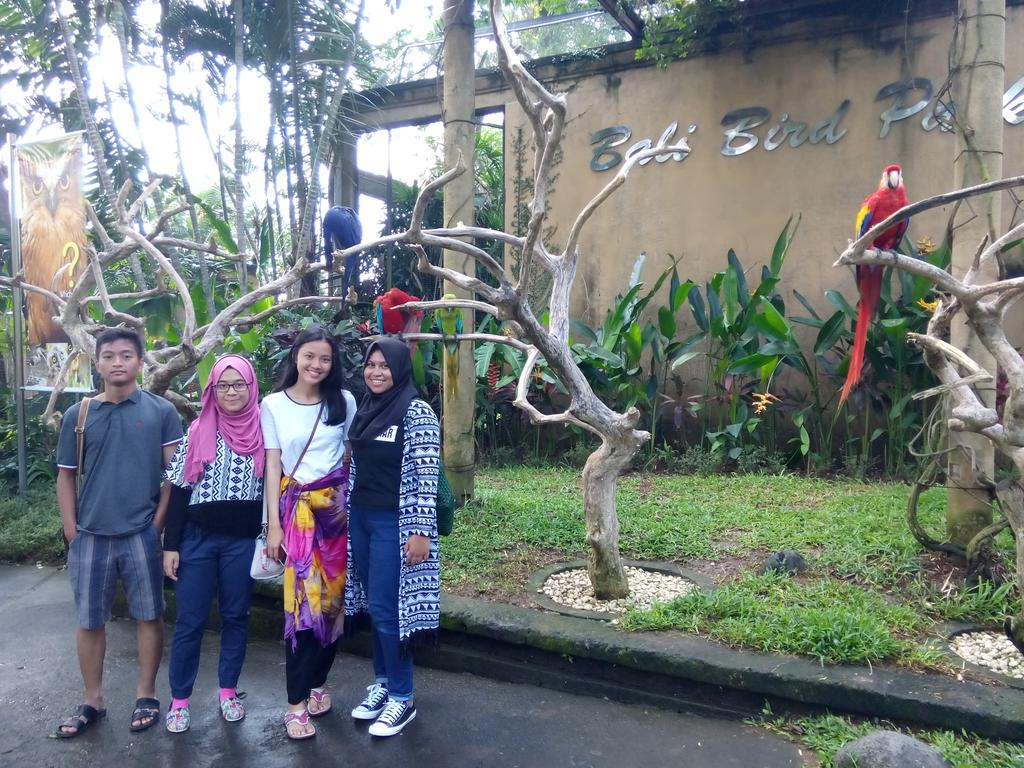 SMALTIIGMPLG's tweet photo. Seeing various kinds of beautiful birds at Bali Bird Park https://t.co/BnAxEabzJL