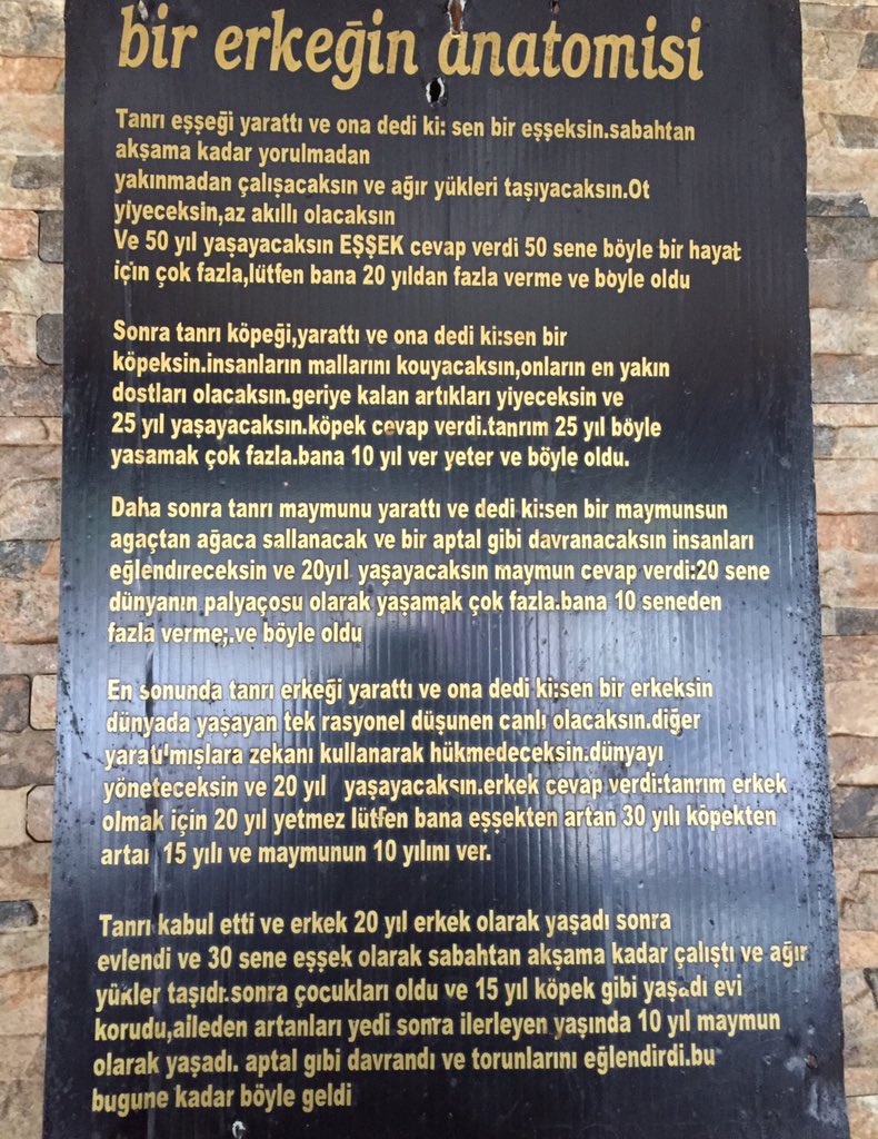 m.ali öz (@malimmalim) on Twitter photo 