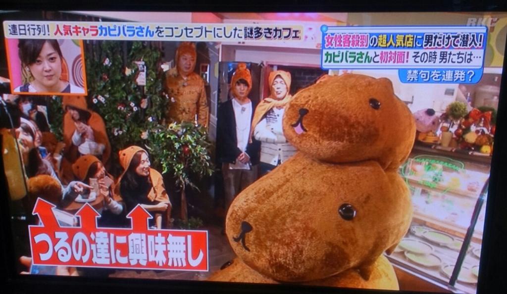 夕凪 Twitterren ヒルナンデス で女性人気のカピバラさんカフェのやつやってるけどお客さんが被ってるカピバラさんブランケットがうまるちゃんのコスプレに見えるww T Co 7na0tqg2vo