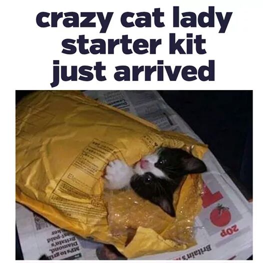 Excited.  Xmas gift to self arrived