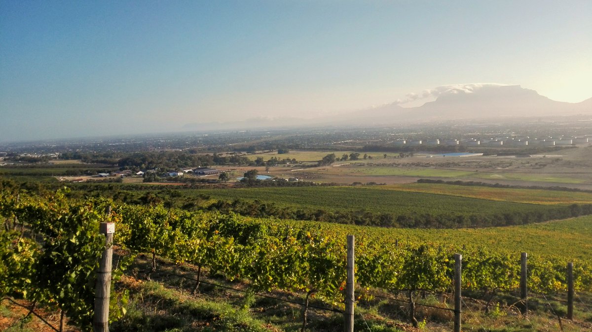 You can shop online at degrendel.co.za and have our wine delivered to your holiday home!