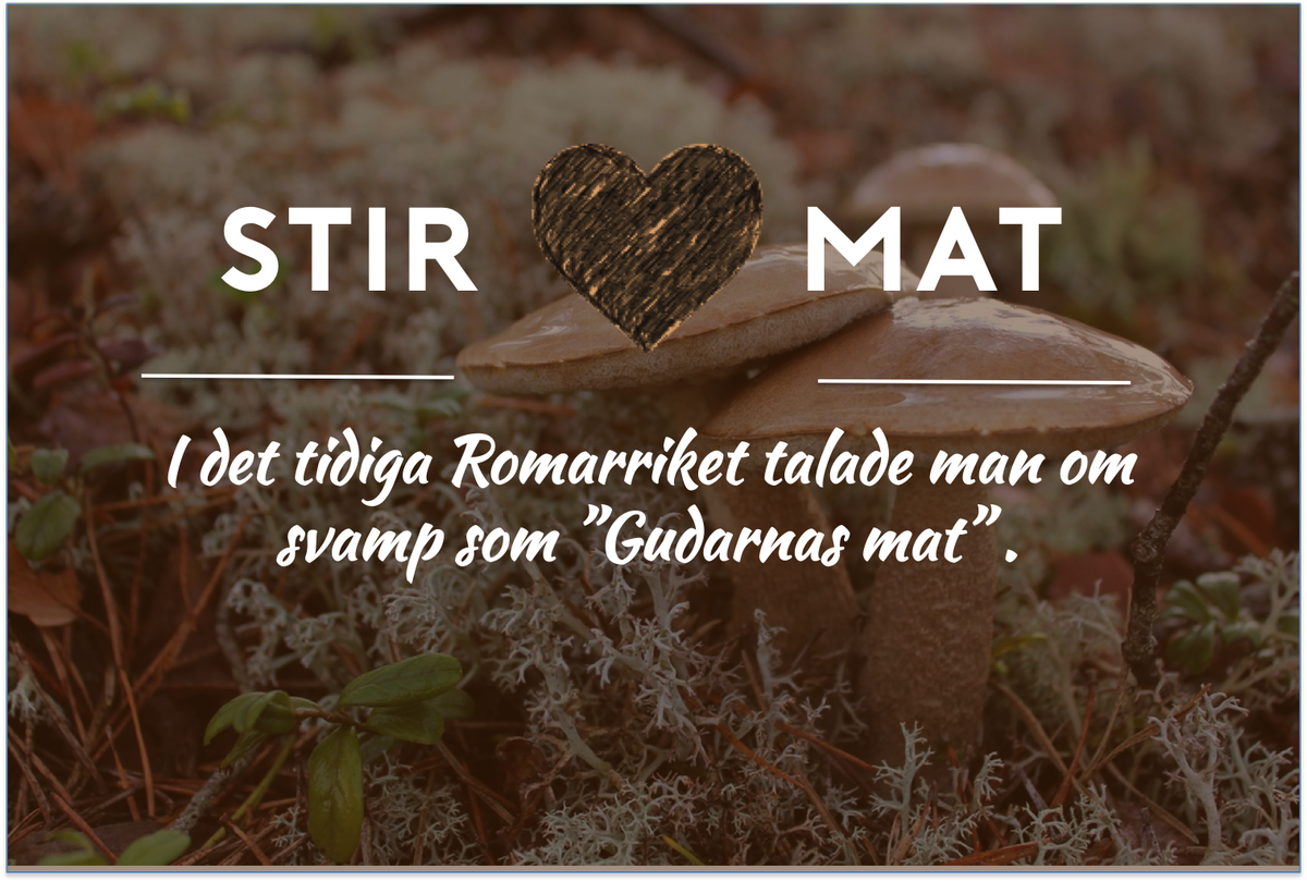 Stiritapp's tweet image. Sugen på svampen? #mat #hungrig #lunch #food