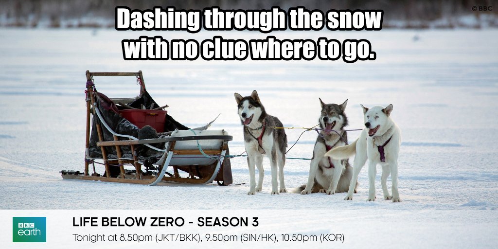 BBCEarthAsia's tweet photo. Tune in to #BBCEarthAsia and brave through a snowy Christmas with #LifeBelowZeroBBC tonight! https://t.co/EuV9vonIMo