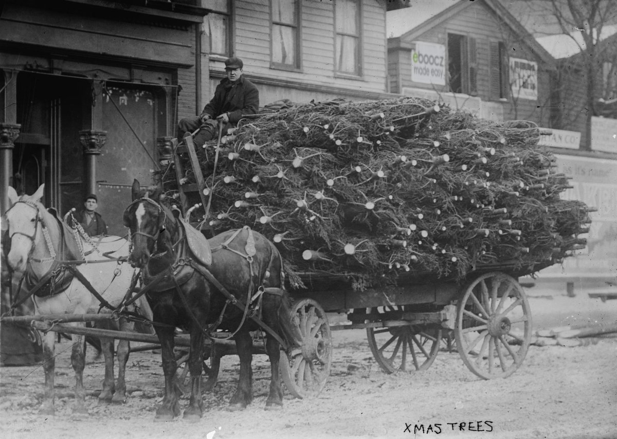 eboocz's tweet image. Just in time for Xmas. Version 1.1. Willkommen bei Eboocz!  eboocz.com/ebooks/just-in… #ebooks #distractionfreewriting