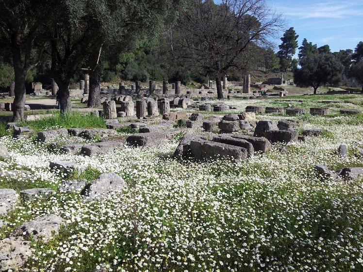 AlexandraKZYK's tweet photo. Des fleurs pour #Noel et surtout pour le prochain #AtelierEcriture ♥ La #Grece éternelle https://t.co/uqEHt2Wzrn https://t.co/0TGLv907Um