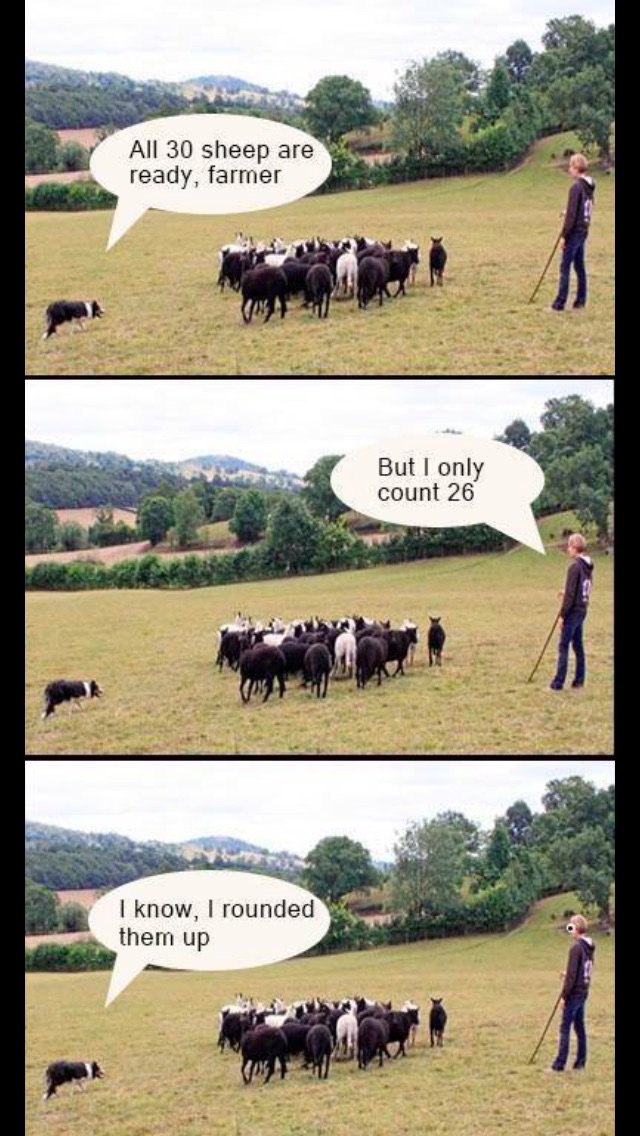 MorganMaths's tweet image. Who says maths isn't fun!