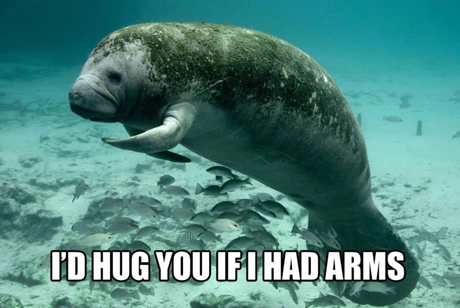 the happy manatee on Twitter: "@AirWarn Oh, that\