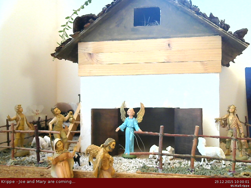 titpunktit's tweet photo. Morgen ist Weihnachten! Hier erlebst du die Ankunft von Maria und Josef im Stadel live mit. https://t.co/swg7utDsWg https://t.co/FDhG0k0Mmh