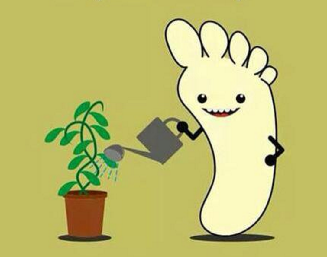 iauraB's tweet photo. La planta del pie https://t.co/1uO1g1YJJ5