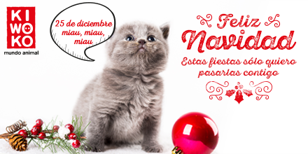 kiwoko's tweet photo. ¡#FelizNavidad y mucho amor animal! 🎁🎅🎄 https://t.co/5djMLFHThh