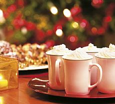 LandalMakelaar's tweet photo. Wij wensen u fijne kerstdagen en een succesvol 2016. Ook in 2016 bieden we weer interessant #recreatievastgoed aan! https://t.co/YxFRe8TLzx