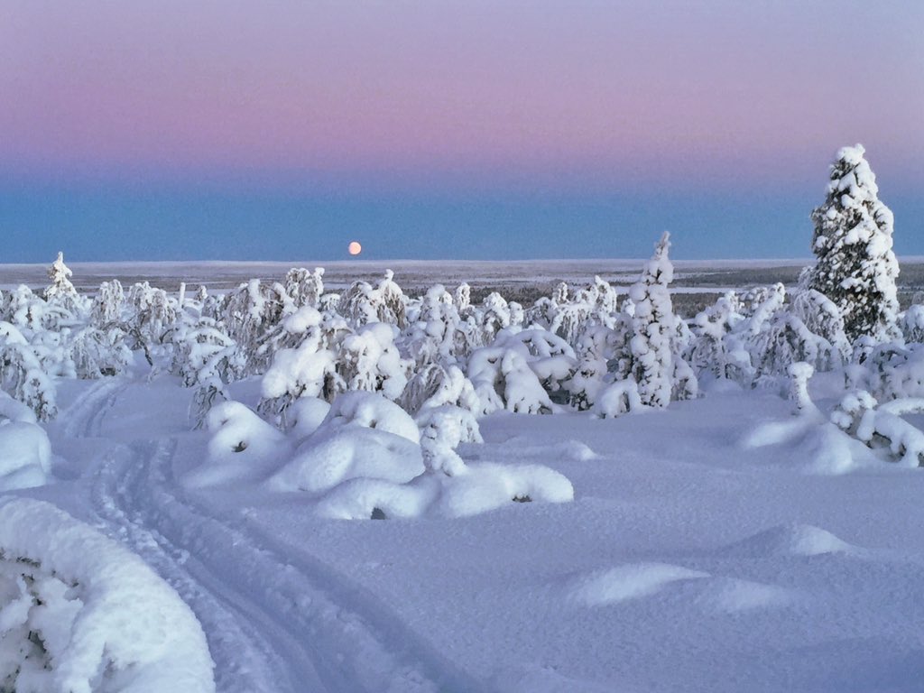 lvilander's tweet photo. Kaamostunnelmia Enontekiöltä. #lappi #kaamos #joulu https://t.co/s3IgFSf55z