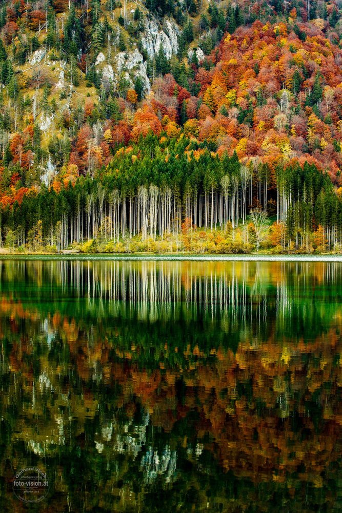 Premium Photos tweet media