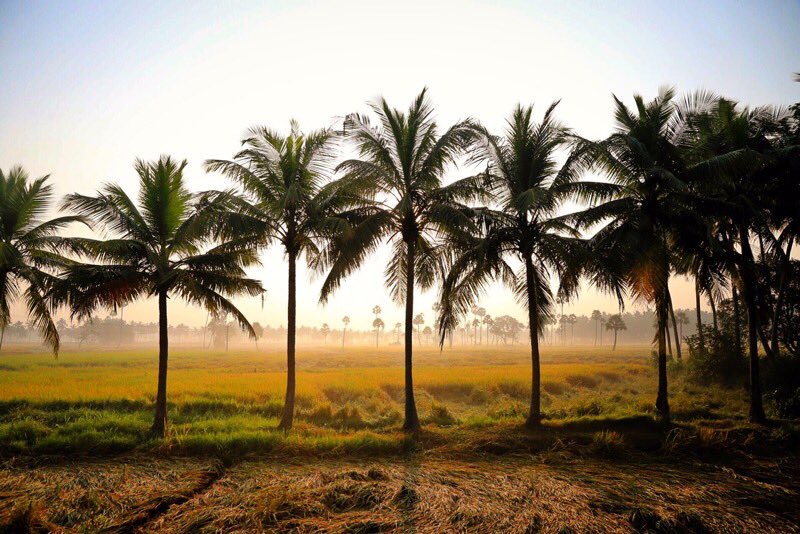siddharthajoshi's tweet photo. Dindi by #Godavari: a review https://t.co/rtdPiC7a4t @WorldOfSterling @AndhraPradeshCM #AndhraPradesh https://t.co/Rz6rnGGhiX