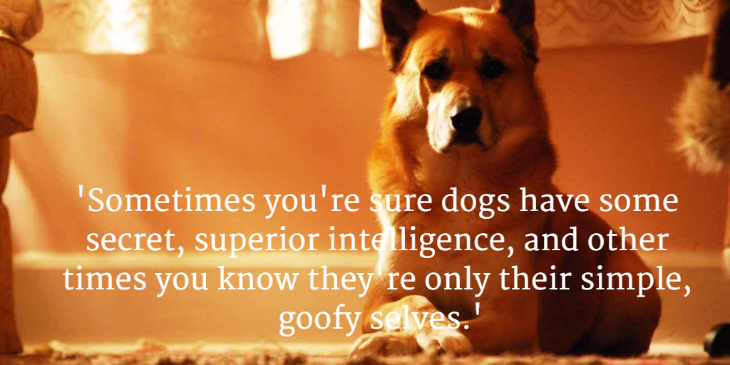 #CanineCareWithMarcTheVet
buff.ly/1lK5vlv