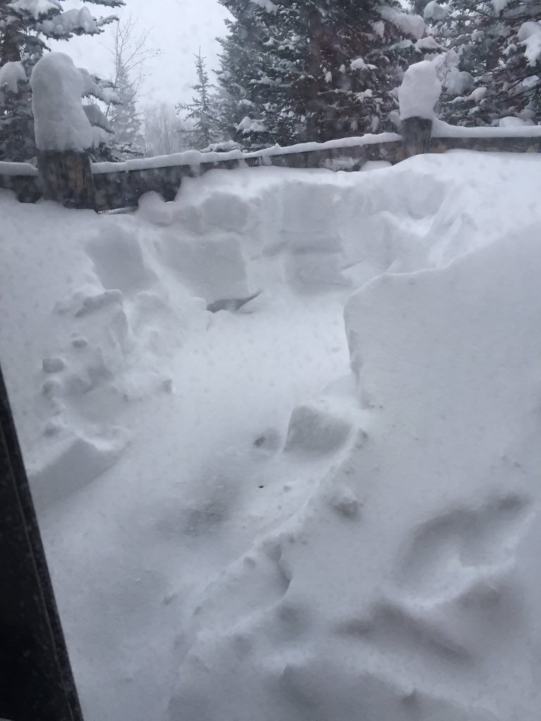 RandallRelick's tweet photo. 3 feet of snow and counting #utahlife #powderon https://t.co/53vNsy54FK