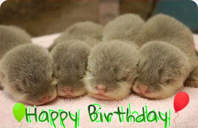 Happy Birthday to Tara Palmer Tomkinson-Karine Powart-Carla Smillie-Trisha Goddard -Dave Murry-Grace Knight   